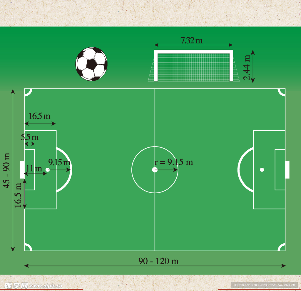运动器材 体育运动 篮球 足球
