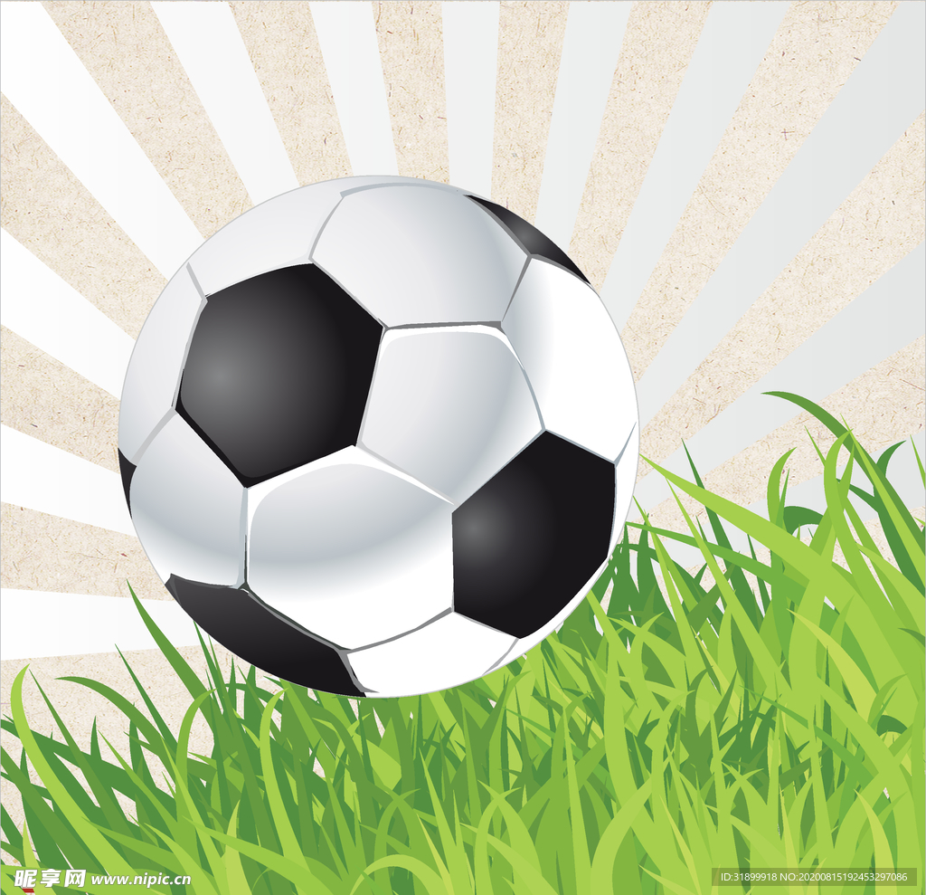 运动器材 体育运动 篮球 足球