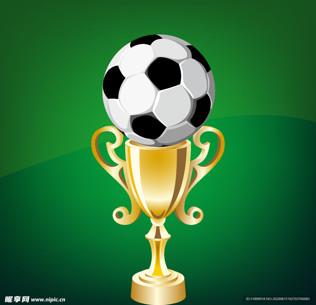 运动器材 体育运动 篮球 足球