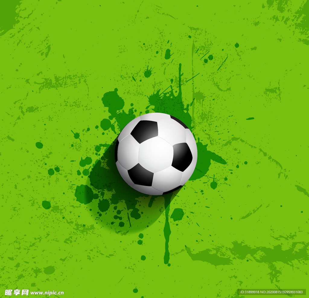 运动器材 体育运动 篮球 足球