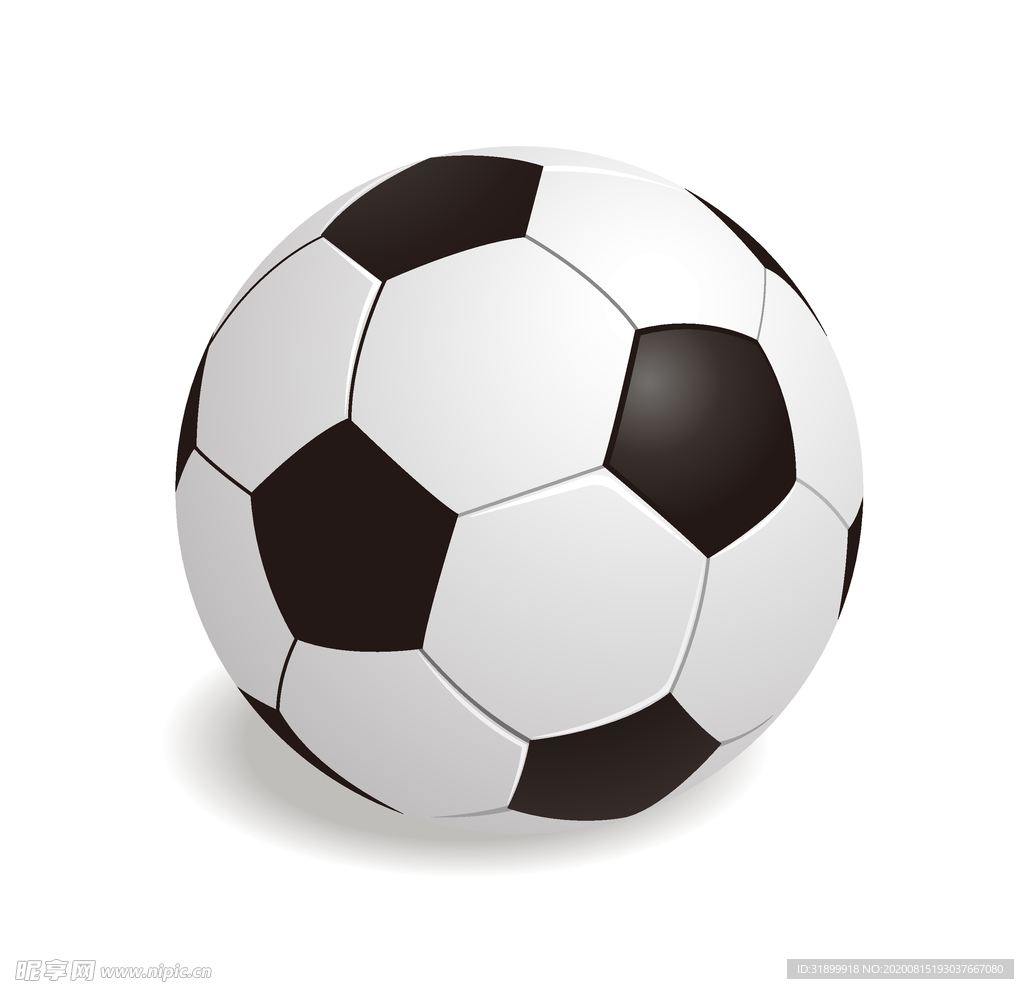 运动器材 体育运动 篮球 足球