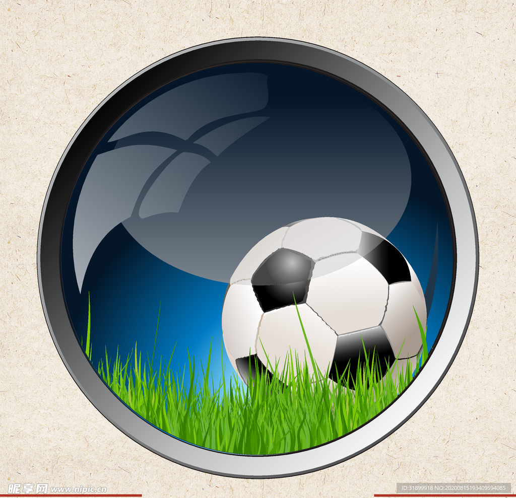 运动器材 体育运动 篮球 足球