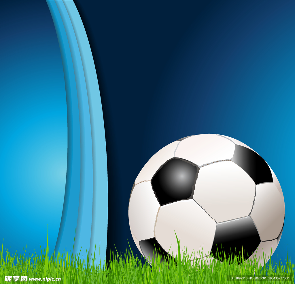 运动器材 体育运动 篮球 足球