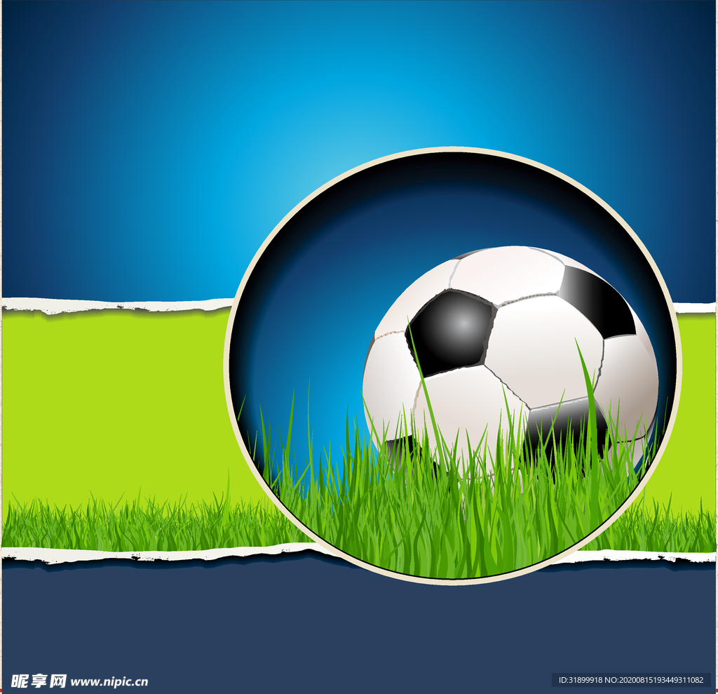 运动器材 体育运动 篮球 足球