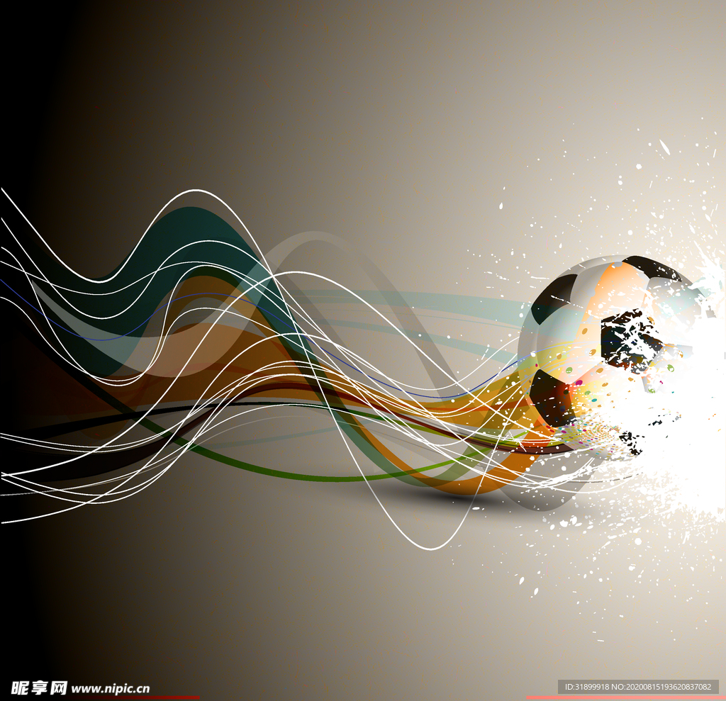 运动器材 体育运动 篮球 足球