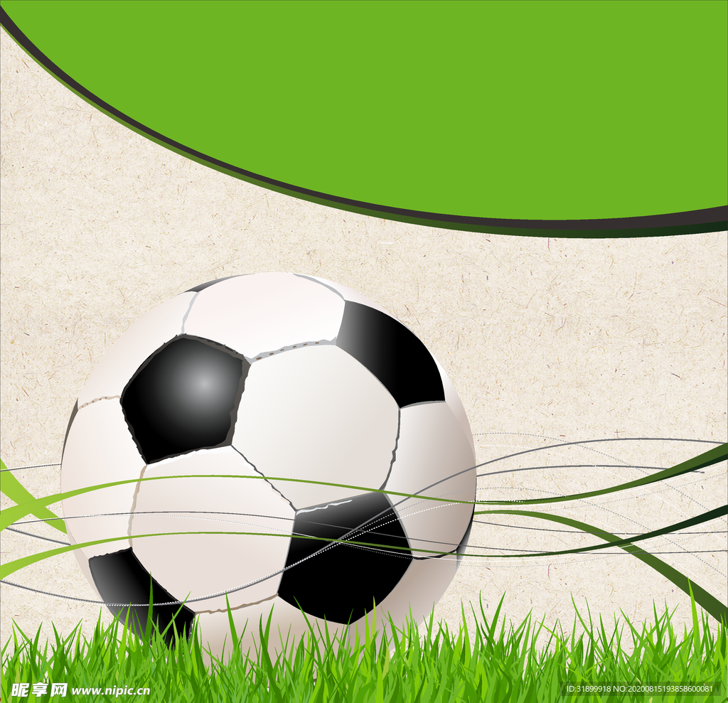 运动器材 体育运动 篮球 足球