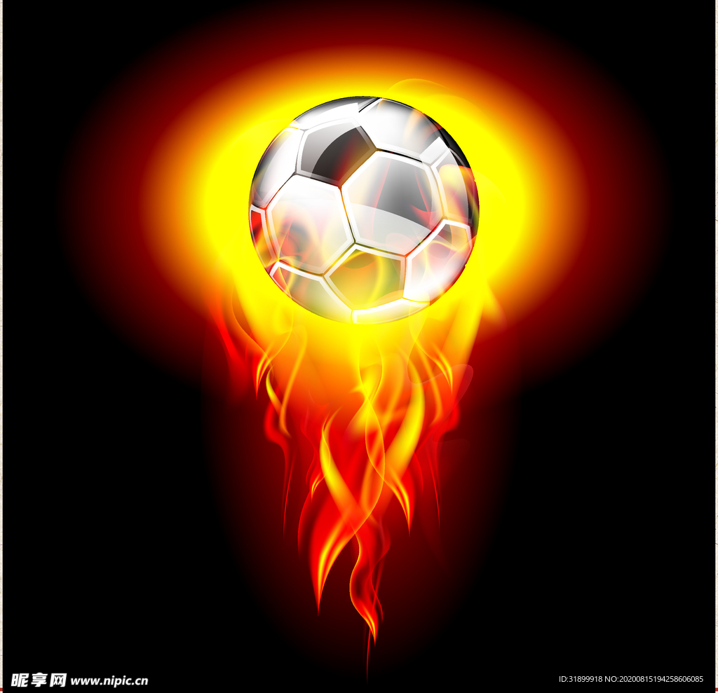 运动器材 体育运动 篮球 足球