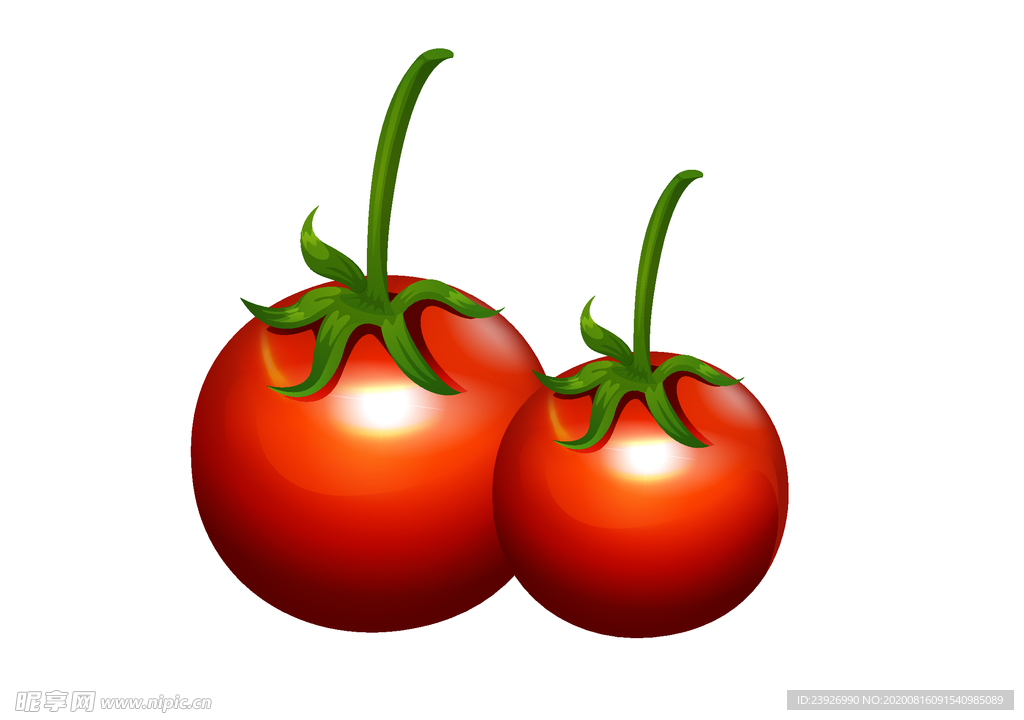 手绘西红柿