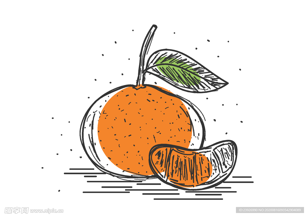 手绘橙子