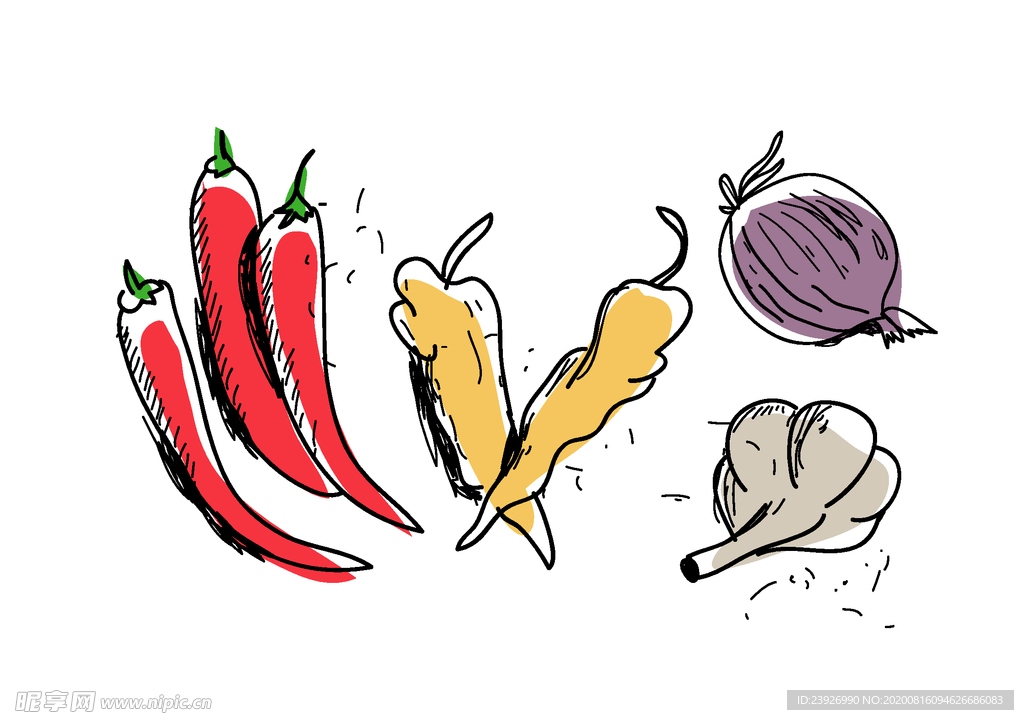 手绘辣椒 洋葱手绘