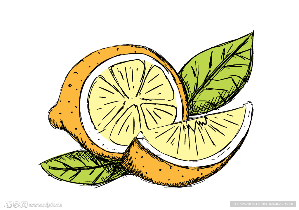 柠檬手绘