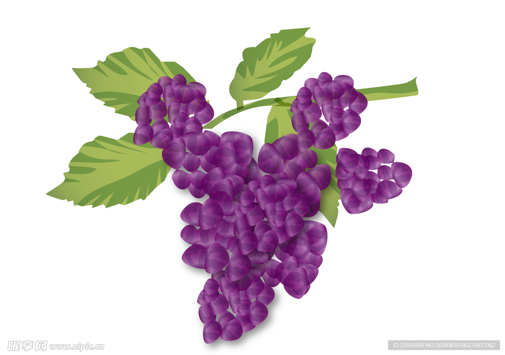 卡通葡萄