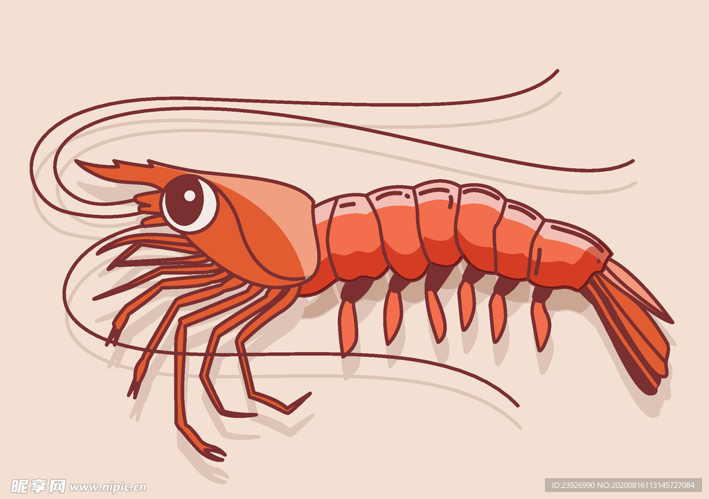 龙虾矢量