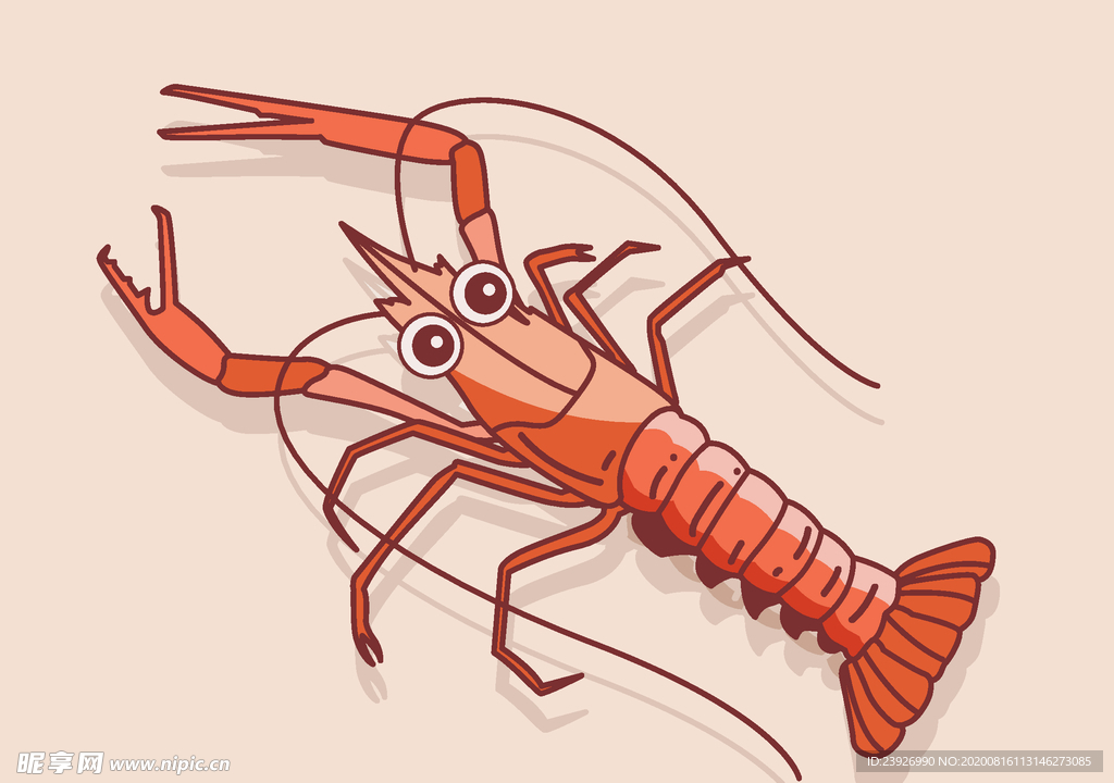 龙虾手绘