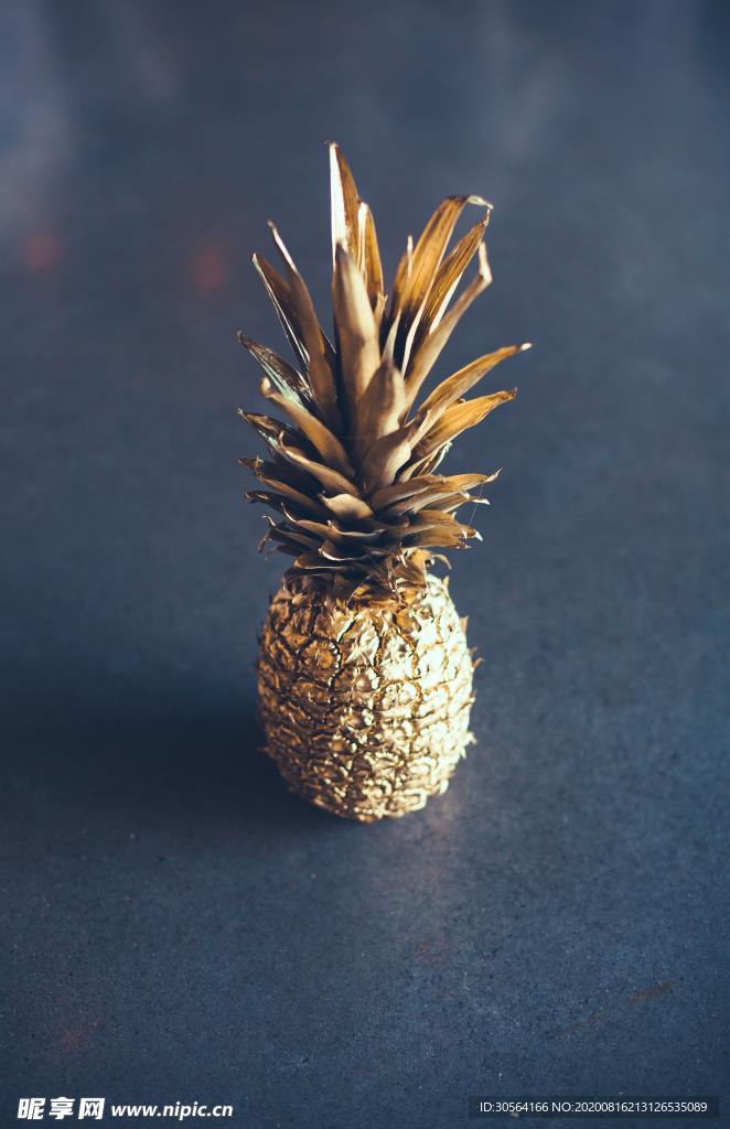 菠萝凤梨水果背景素材
