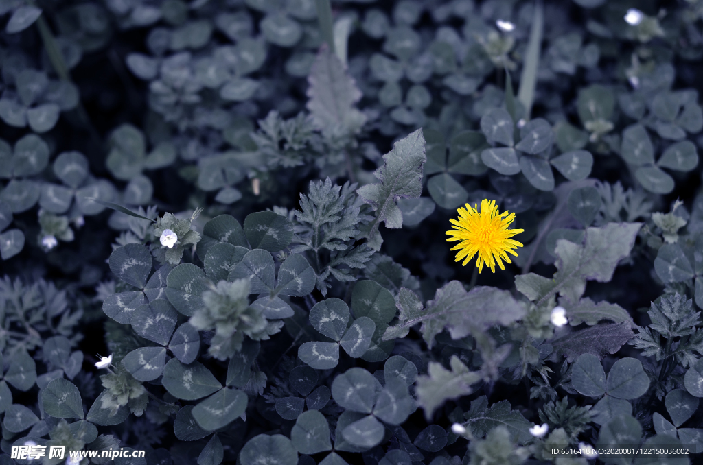 自然 肌理  摄影