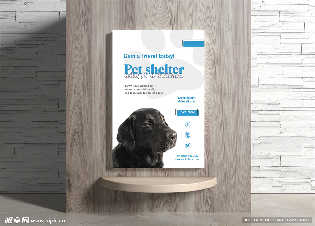 宠物海报