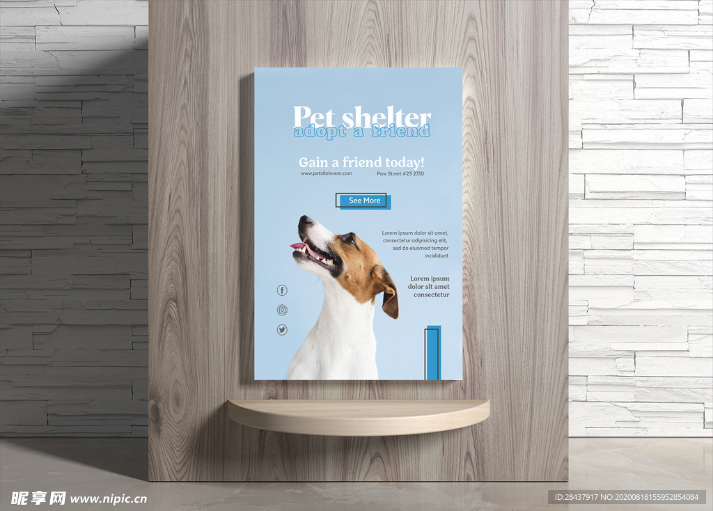 宠物海报