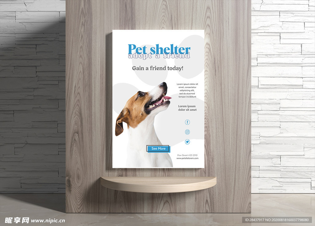 宠物海报