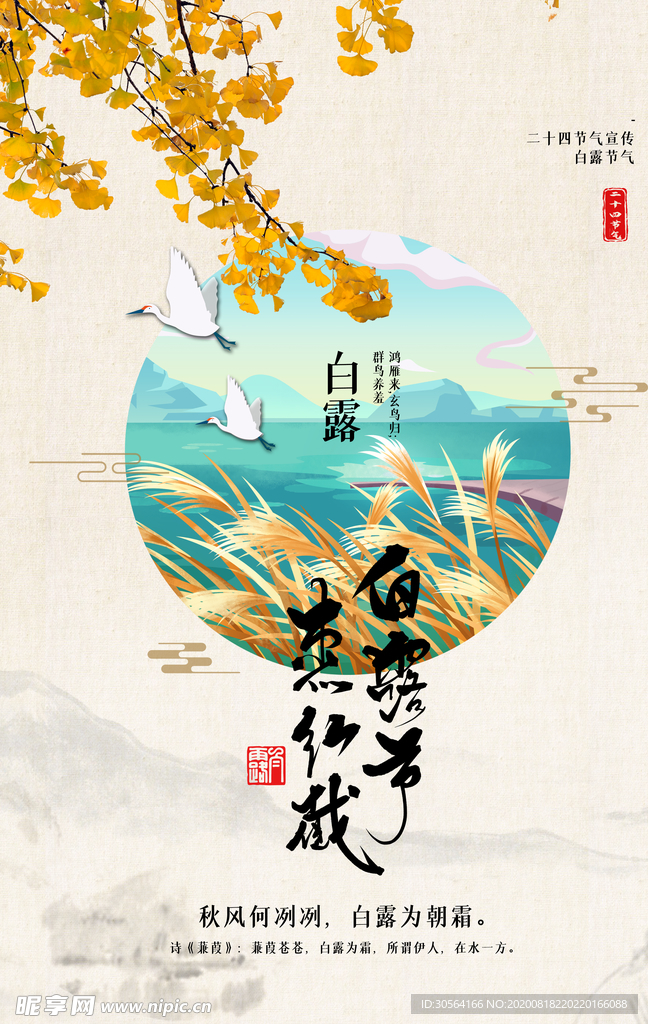 白露传统节日宣传海报素材