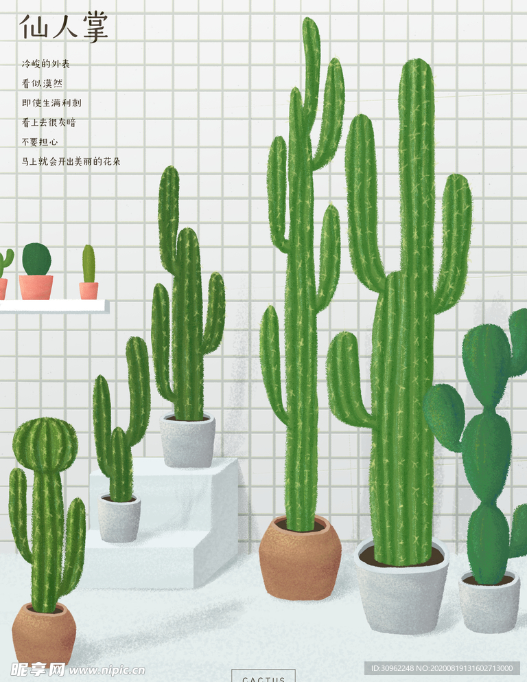 仙人掌插画