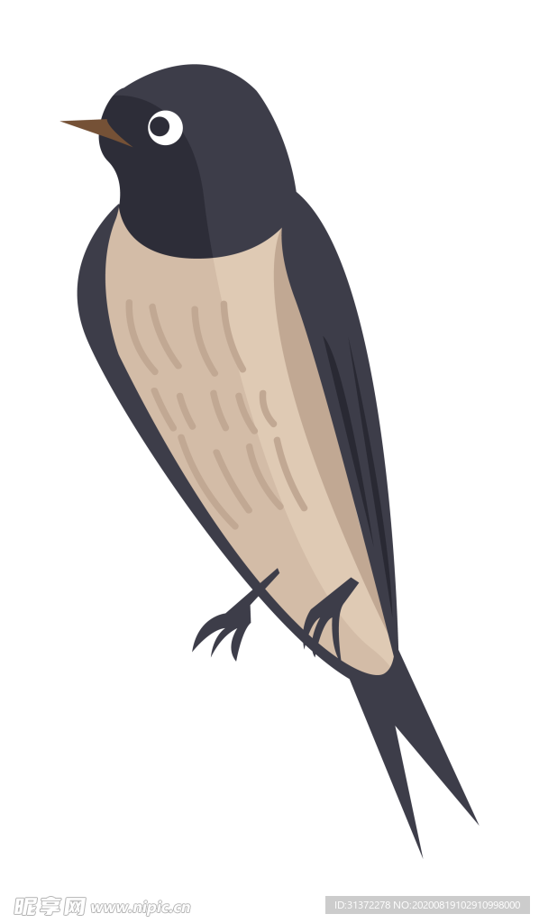 免扣燕子素材图片