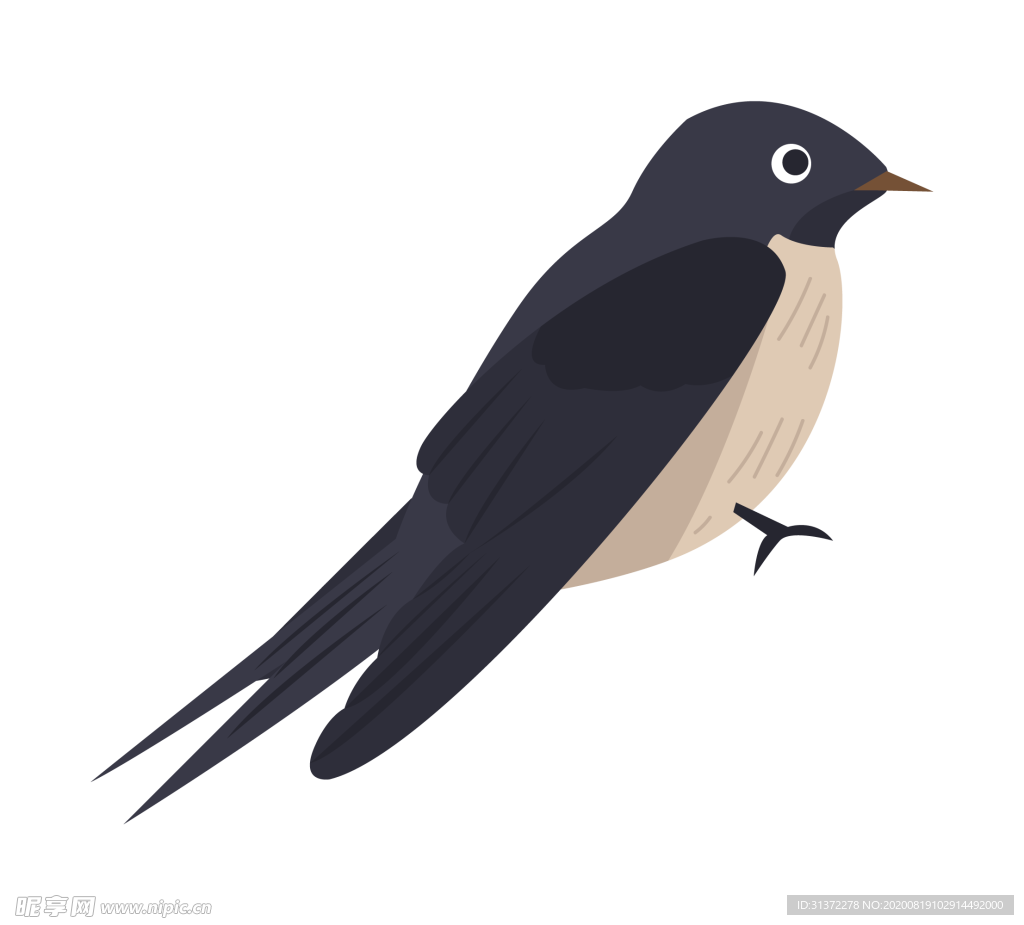 免扣燕子素材图片