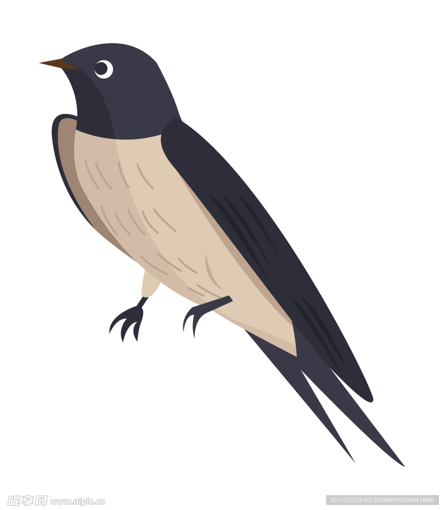 免扣燕子素材图片