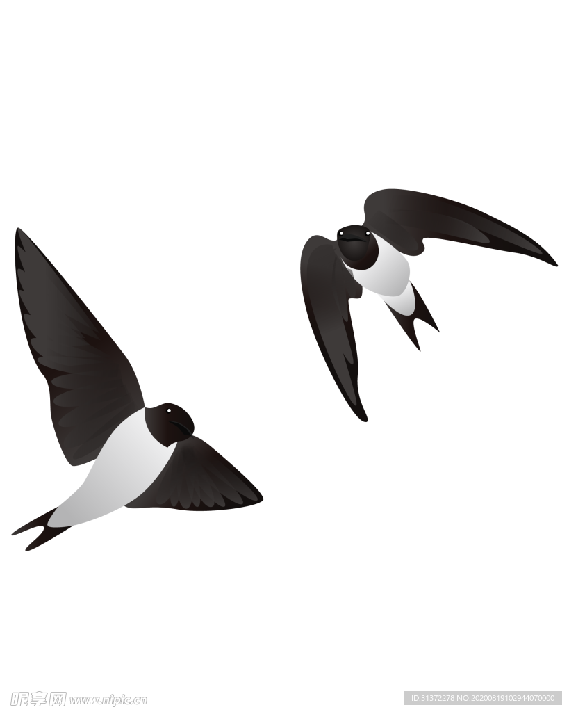 免扣燕子素材图片