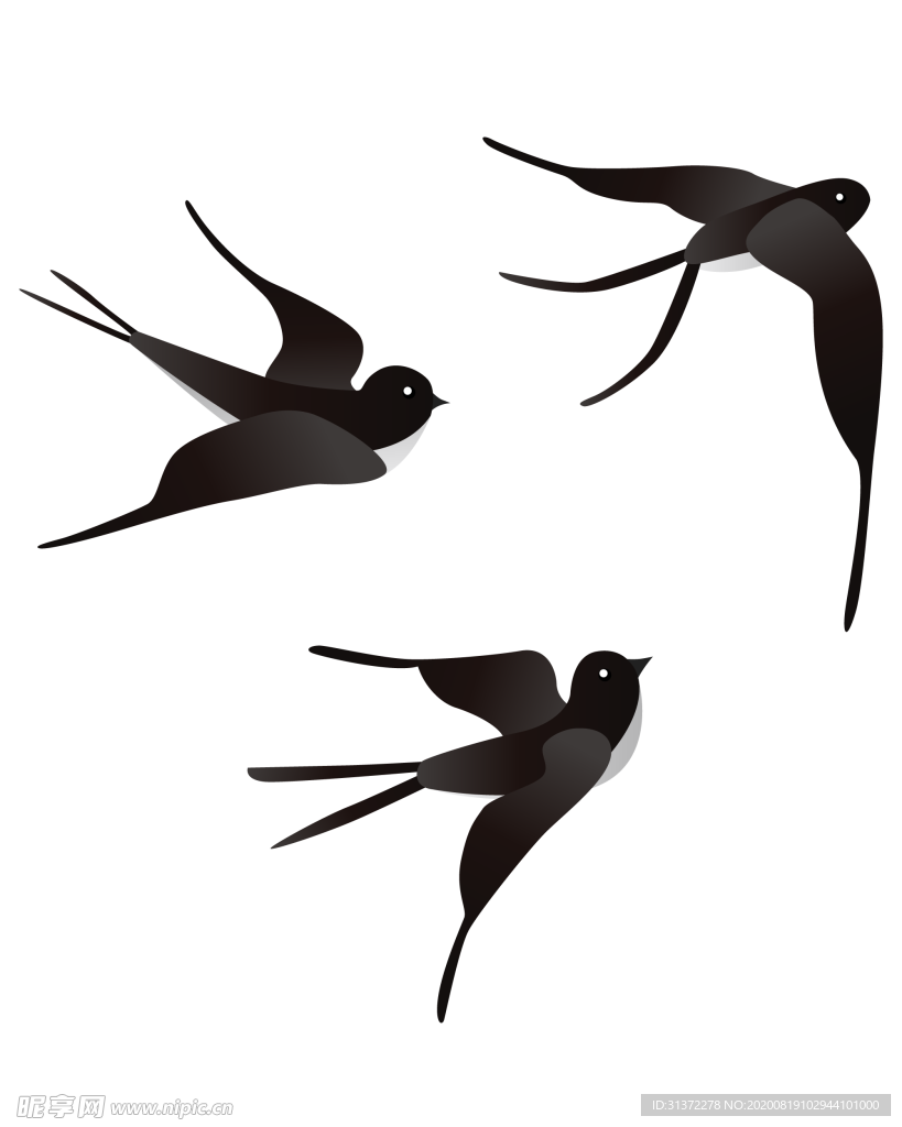 免扣燕子素材图片