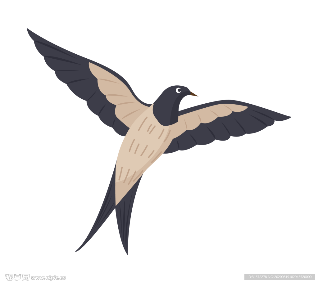 免扣燕子素材图片