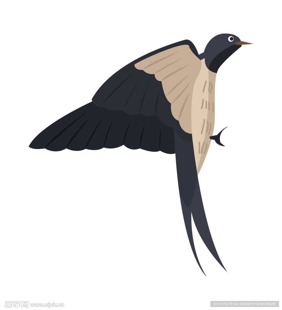 免扣燕子素材图片