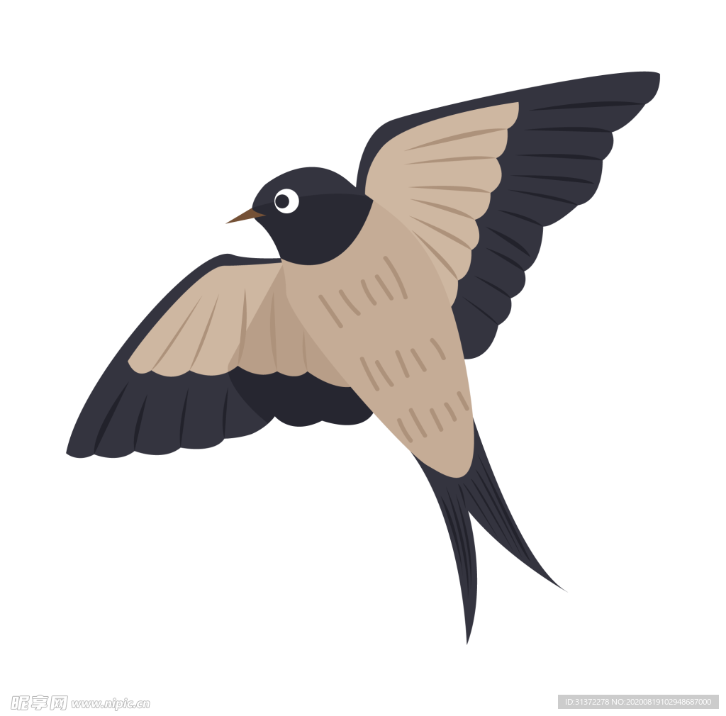 免扣燕子素材图片