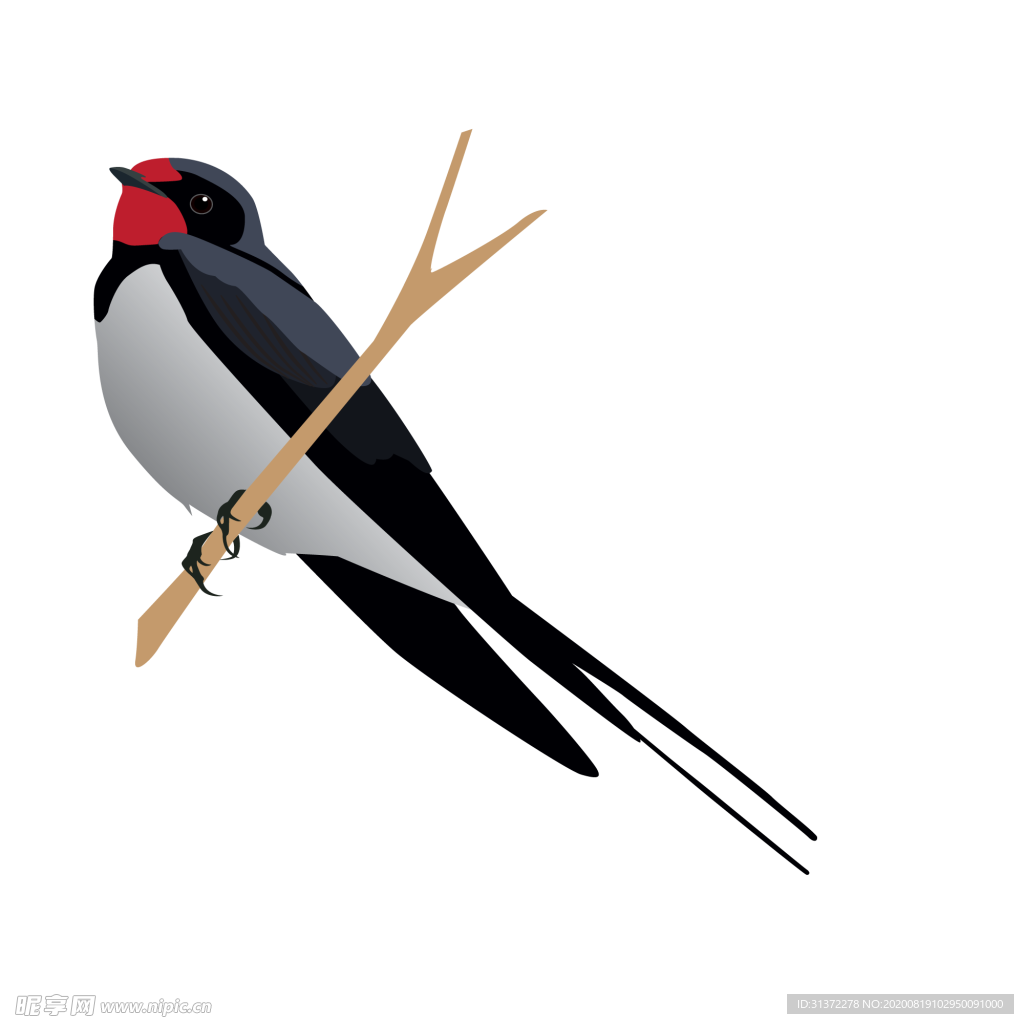 免扣燕子素材图片