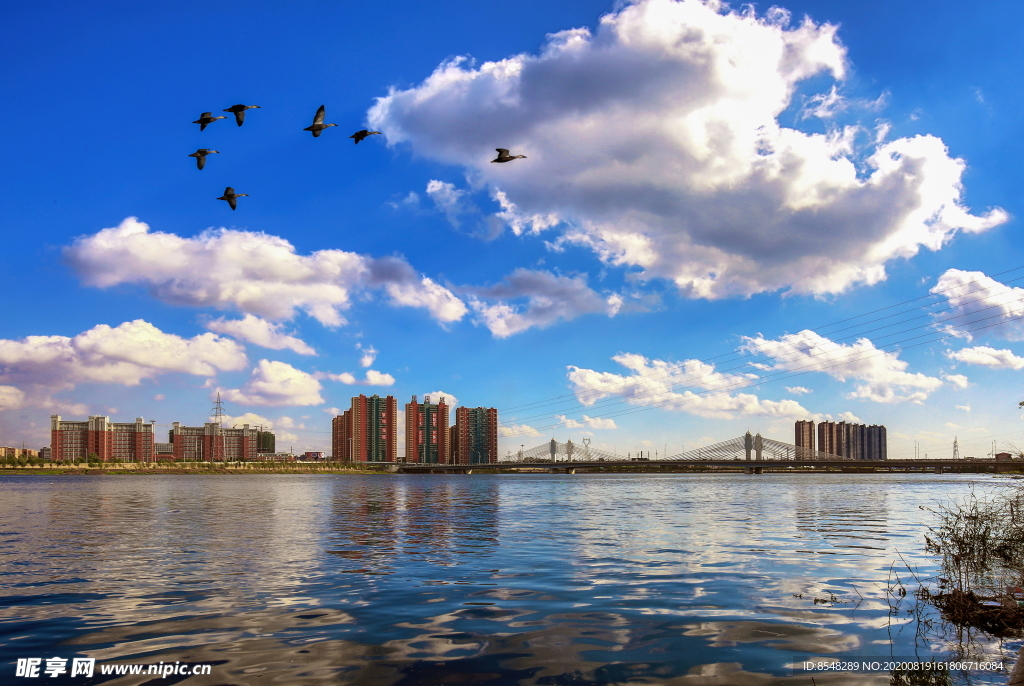 抚顺浑河岸边风光