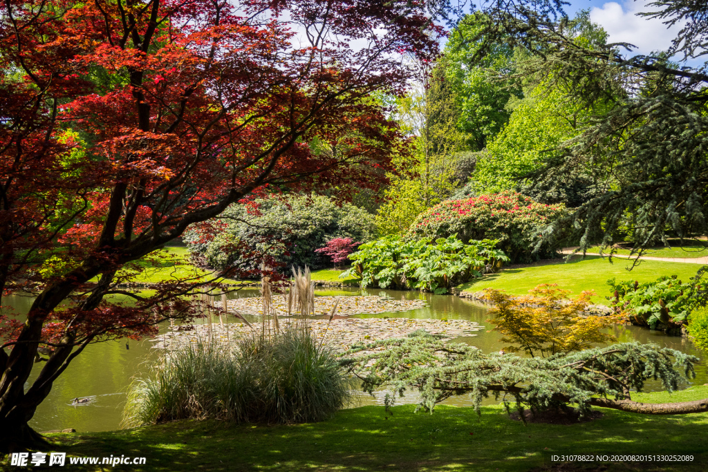 中世纪田园风景摄影图