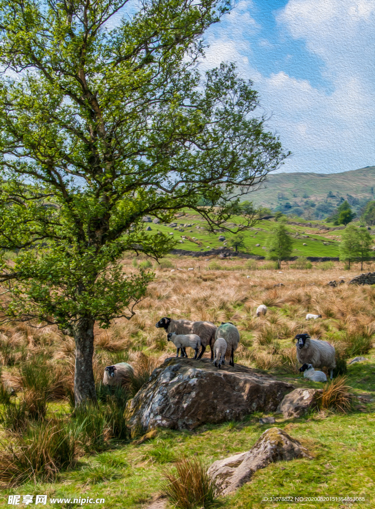 中世纪田园风景摄影图