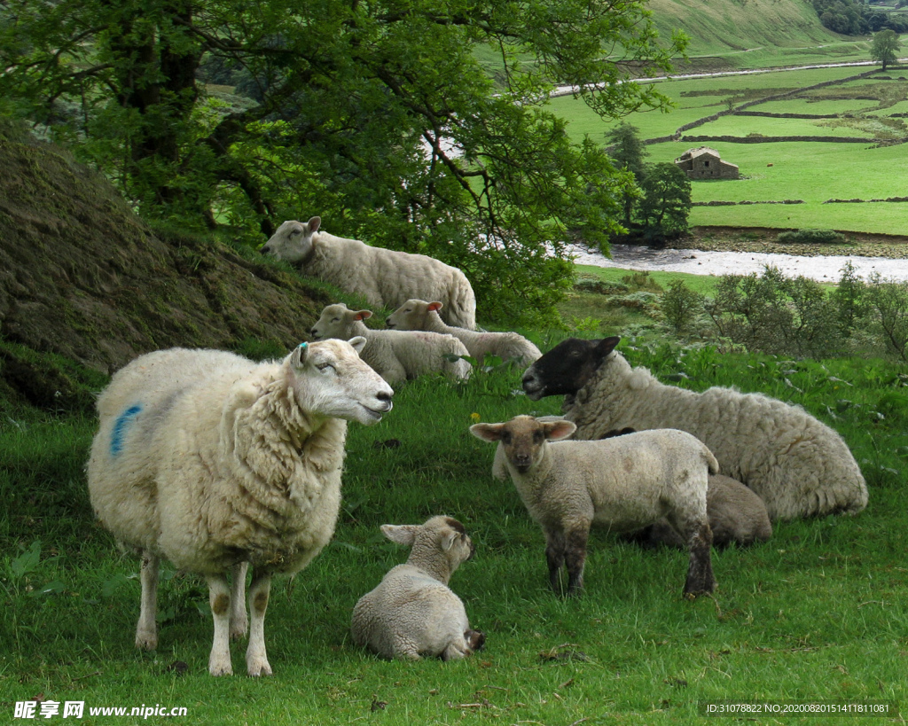 中世纪田园风景摄影图