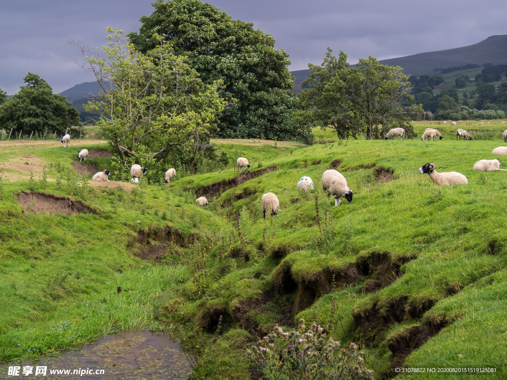 中世纪田园风景摄影图
