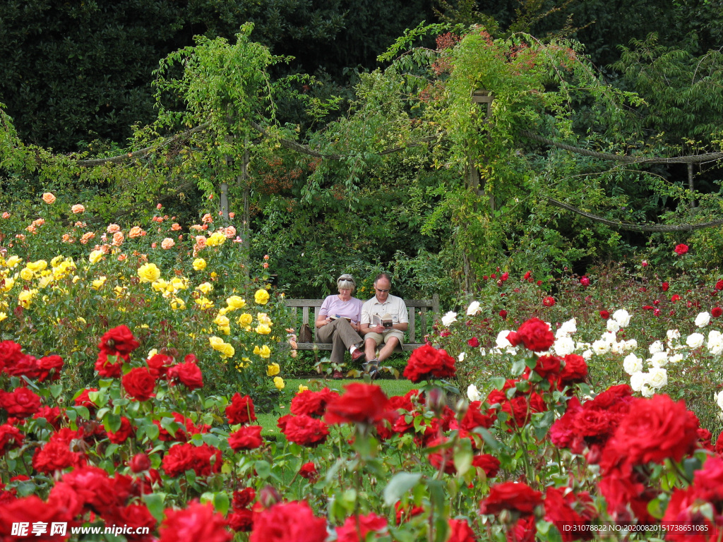 中世纪田园风景摄影图