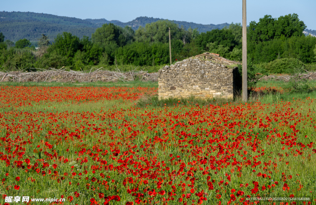 中世纪田园风景摄影图