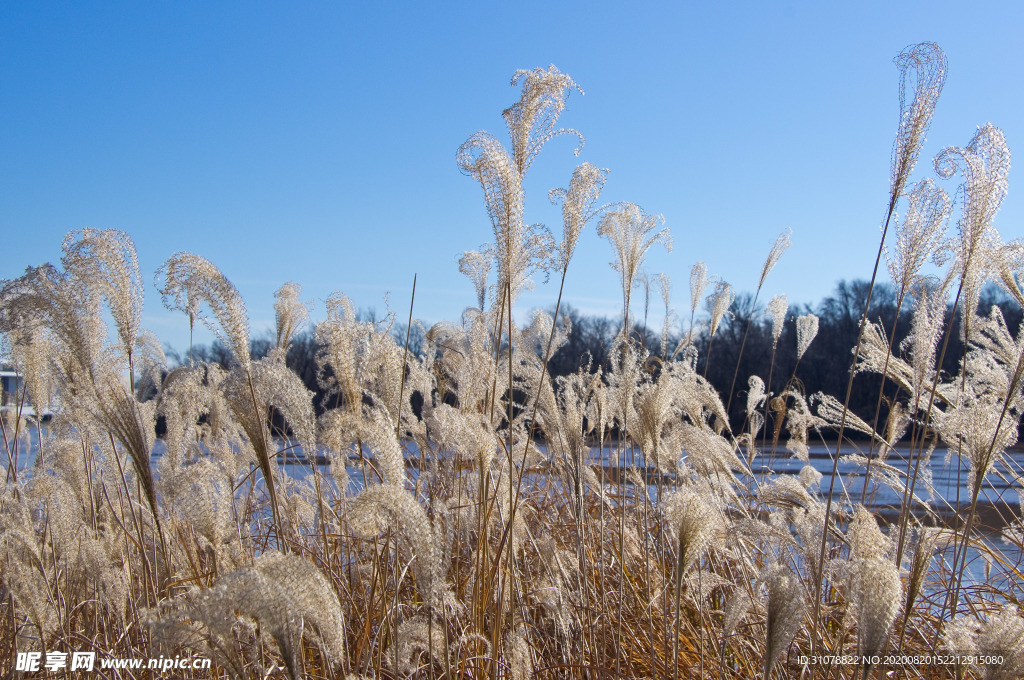中世纪田园风景摄影图