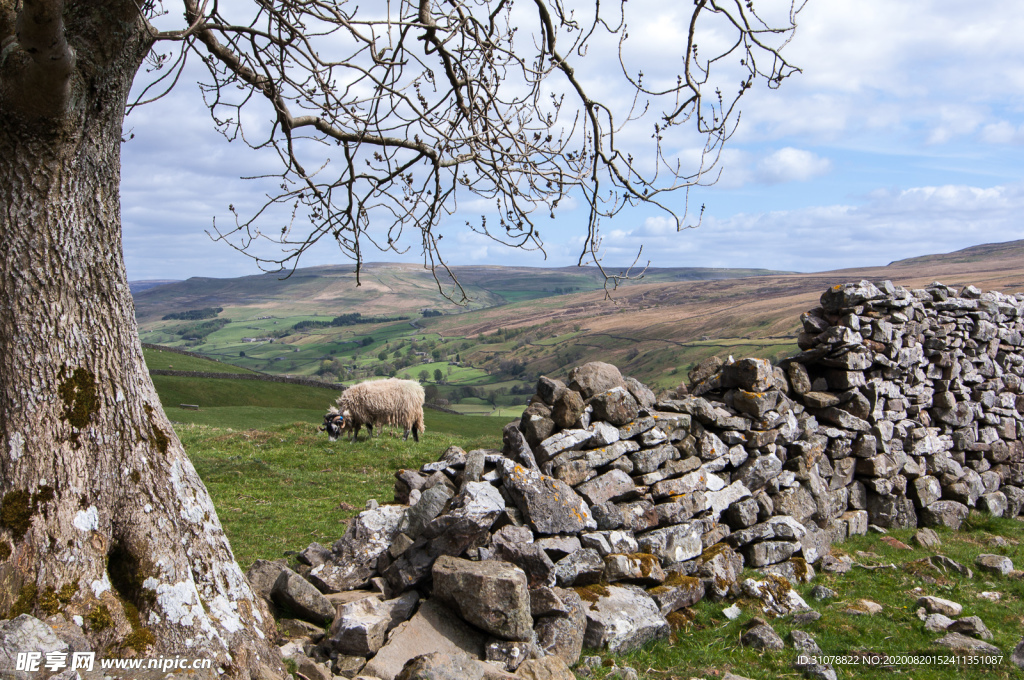 中世纪田园风景摄影图