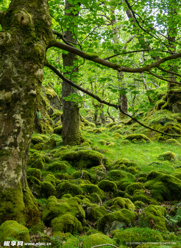 中世纪田园风景摄影图