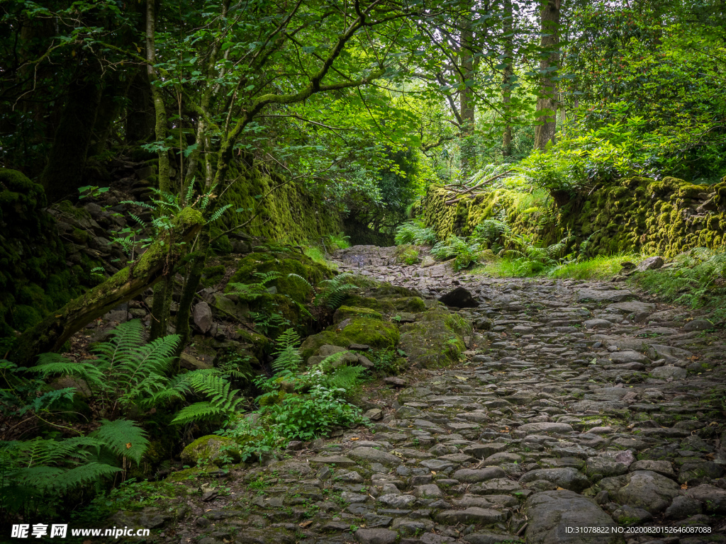 中世纪田园风景摄影图