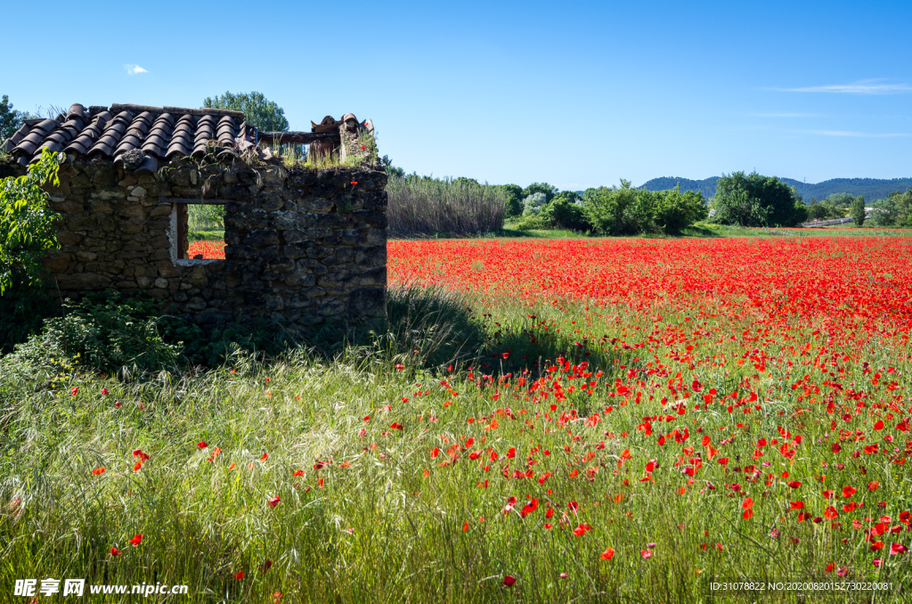 中世纪田园风景摄影图