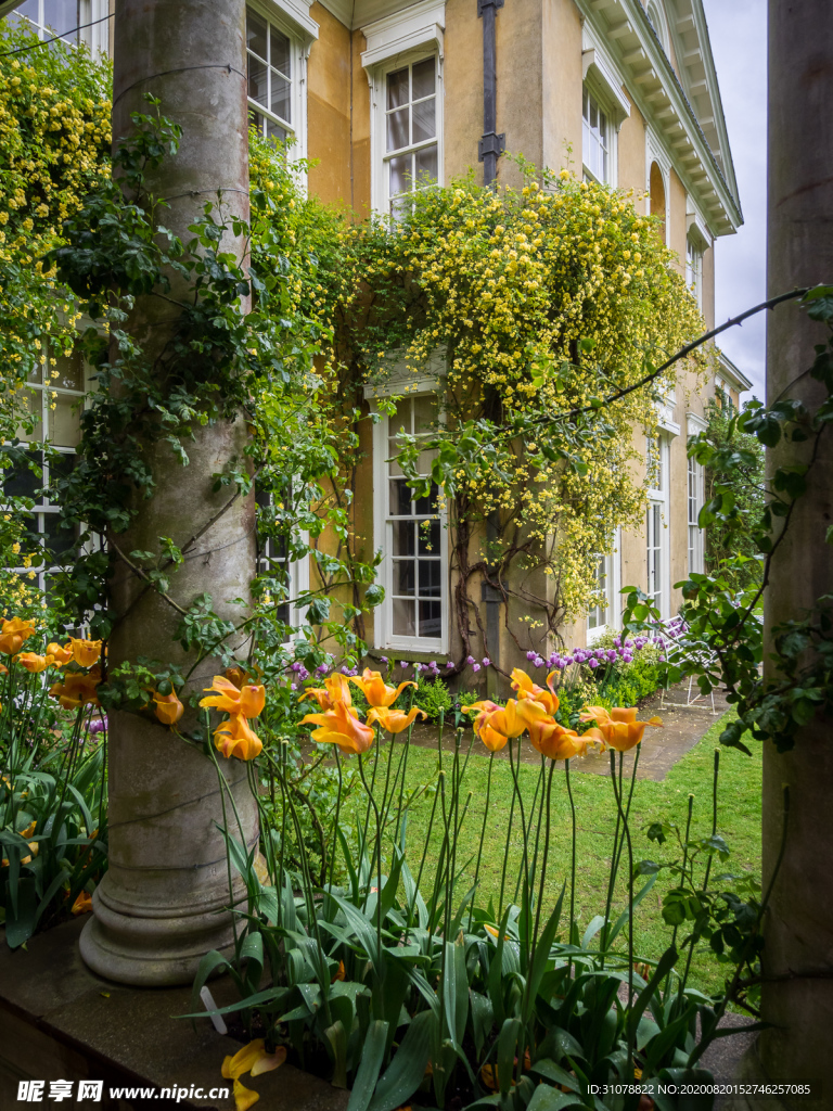 中世纪田园风景摄影图