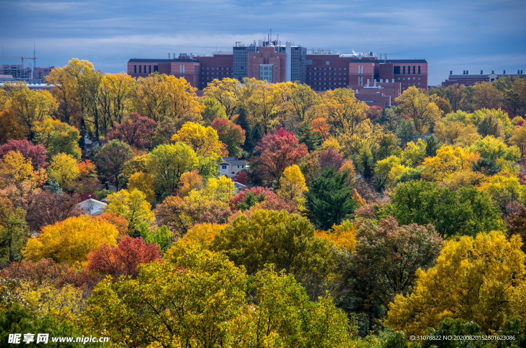 中世纪田园风景摄影图