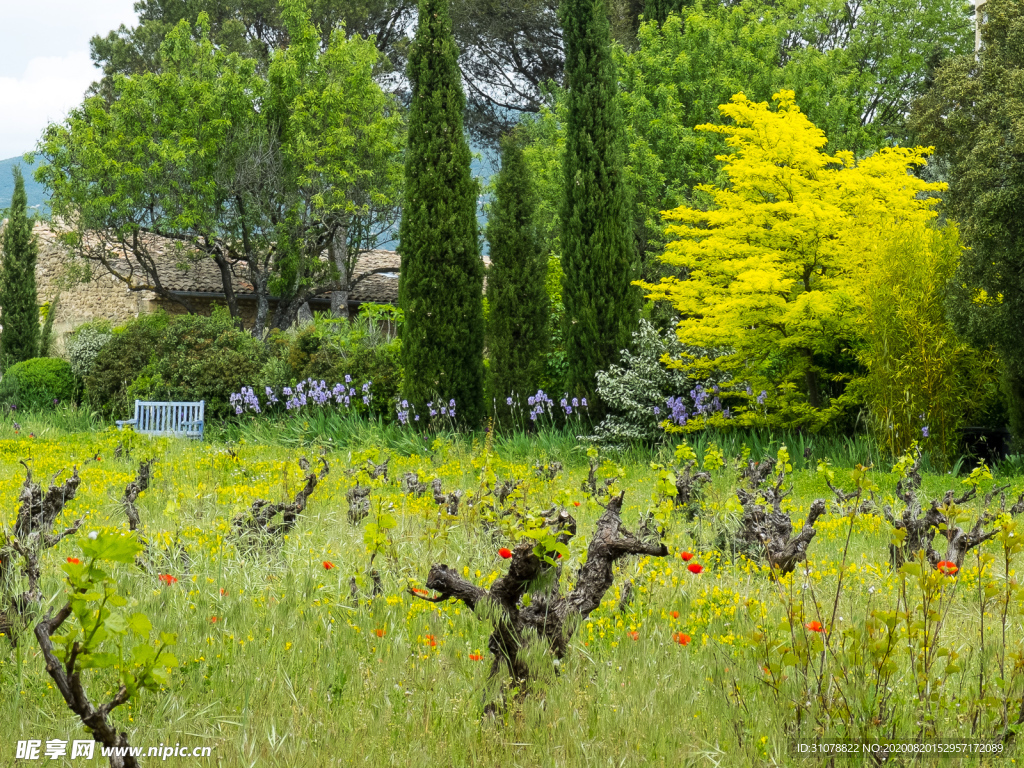 中世纪田园风景摄影图