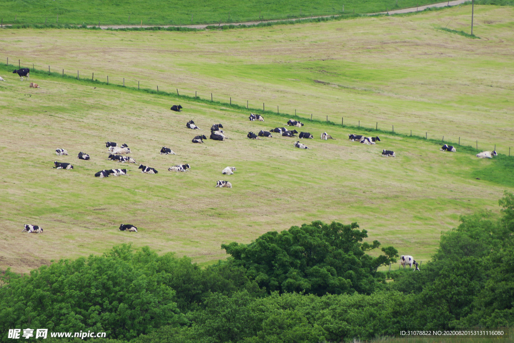 中世纪田园风景摄影图